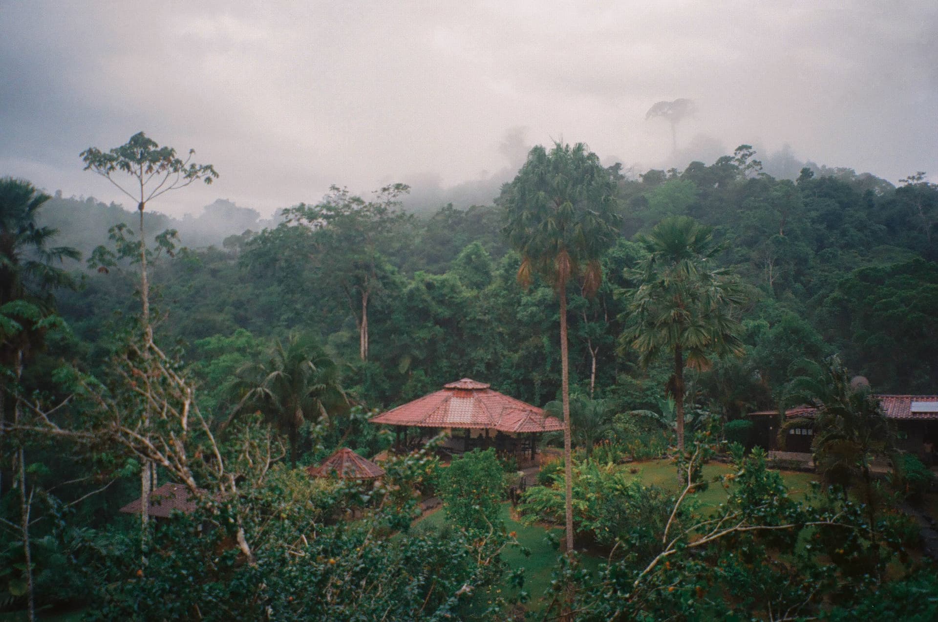 Portrait of Pacuare River Lodge